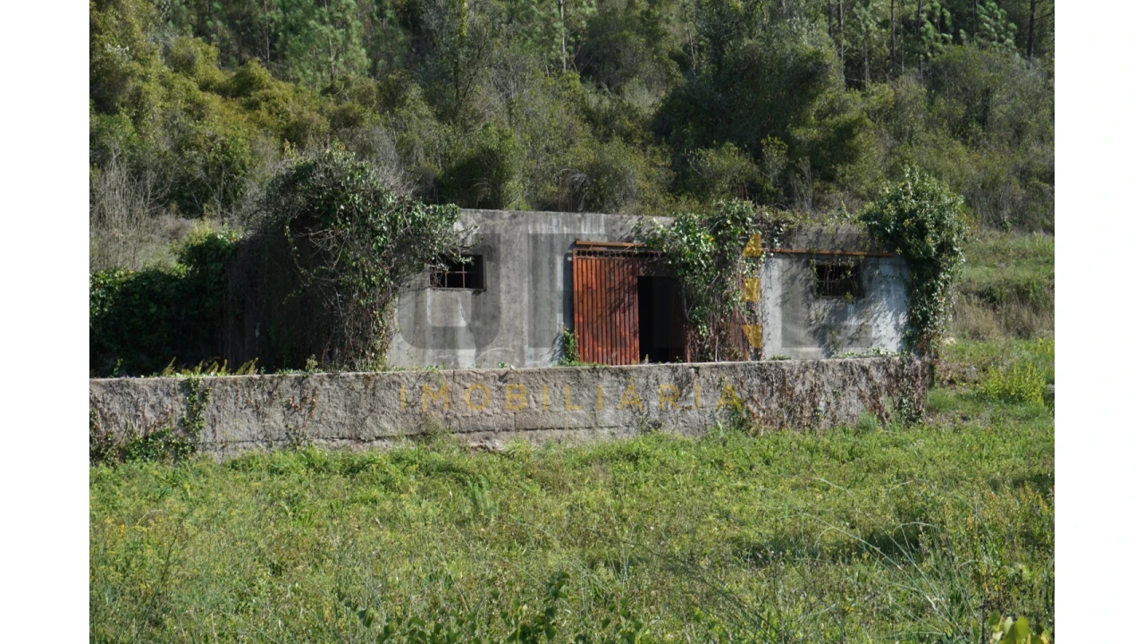 Terreno Agricola ou Rústico para Venda em Assafarge e Antanhol Foto 5