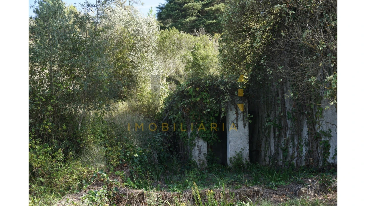 Terreno Agricola ou Rústico para Venda em Assafarge e Antanhol Foto 7