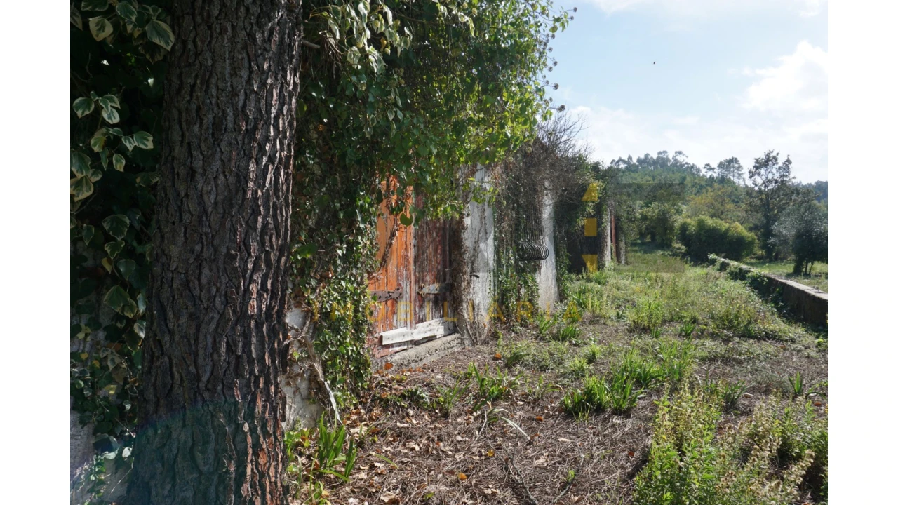 Terreno Agricola ou Rústico para Venda em Assafarge e Antanhol Foto 8