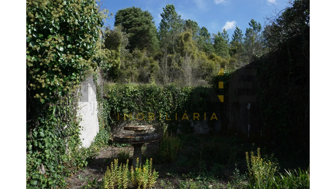 Terreno Agricola ou Rústico para Venda em Assafarge e Antanhol Foto 9