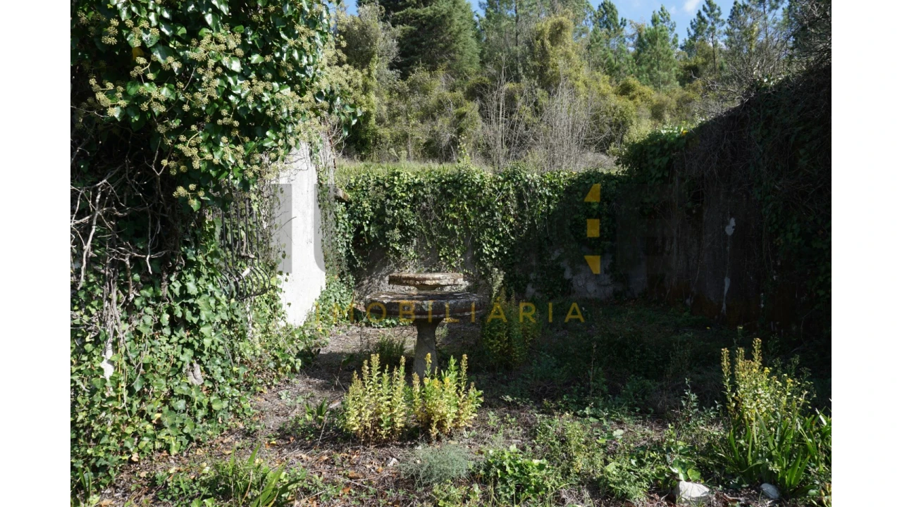 Terreno Agricola ou Rústico para Venda em Assafarge e Antanhol Foto 11