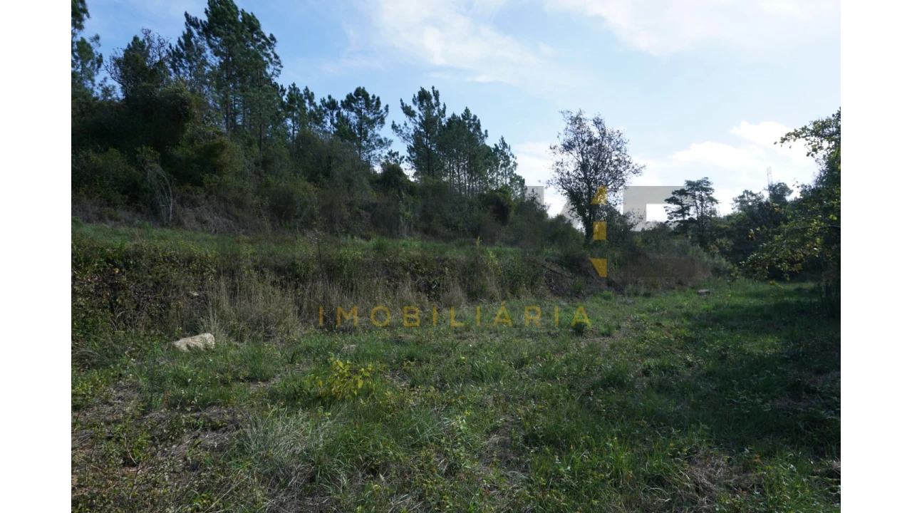 Terreno Agricola ou Rústico para Venda em Assafarge e Antanhol Foto 15