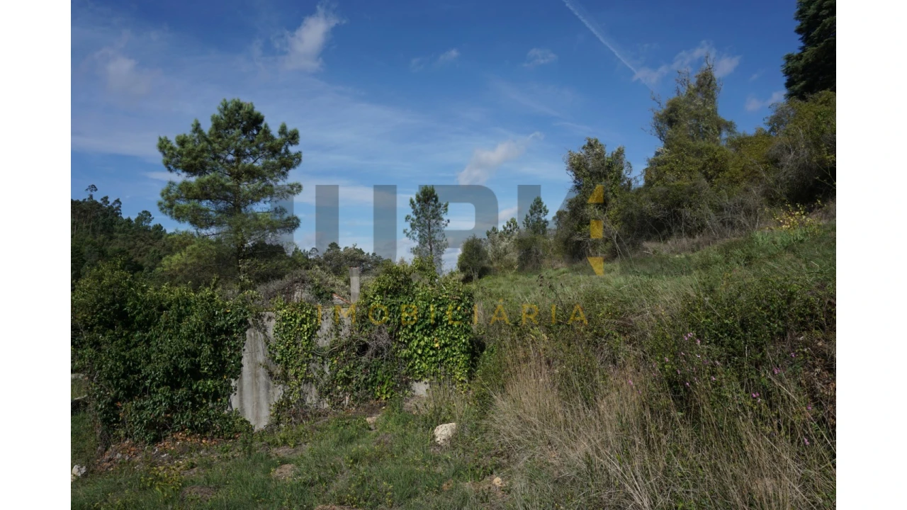 Terreno Agricola ou Rústico para Venda em Assafarge e Antanhol Foto 17