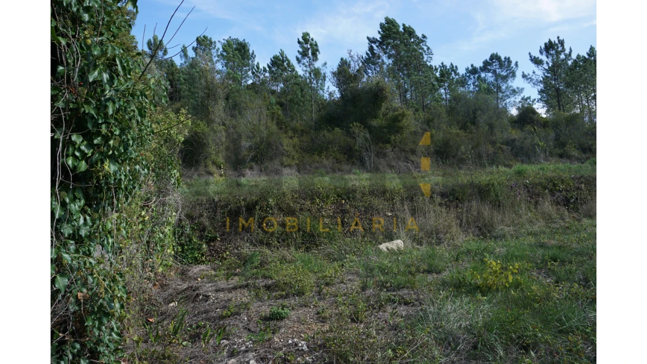 Terreno Agricola ou Rústico para Venda em Assafarge e Antanhol Foto 18