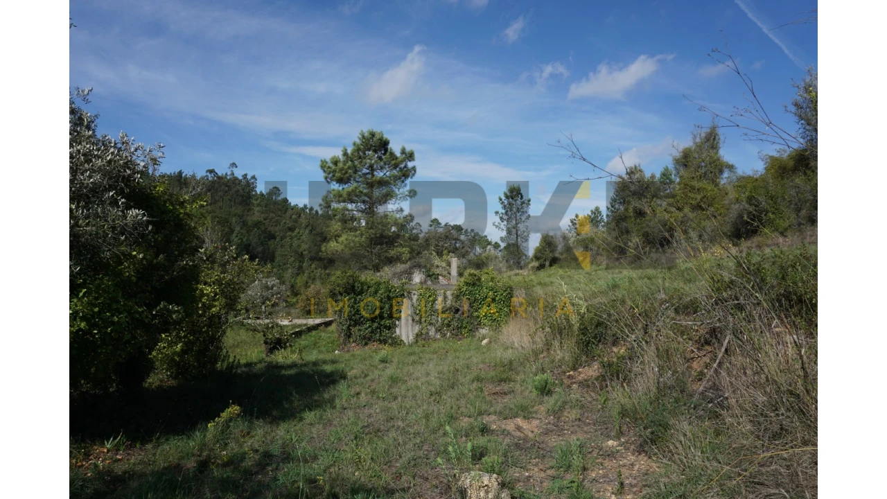 Terreno Agricola ou Rústico para Venda em Assafarge e Antanhol Foto 20