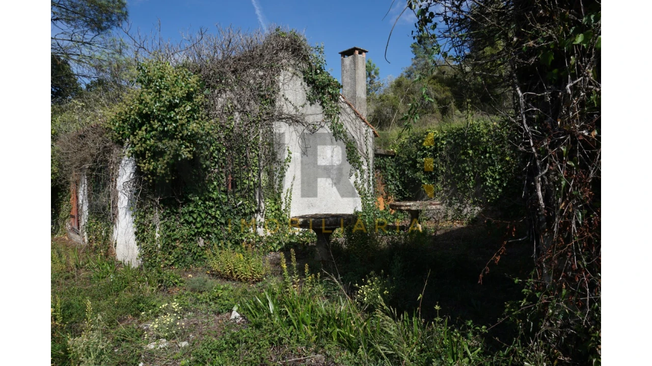 Terreno Agricola ou Rústico para Venda em Assafarge e Antanhol Foto 24