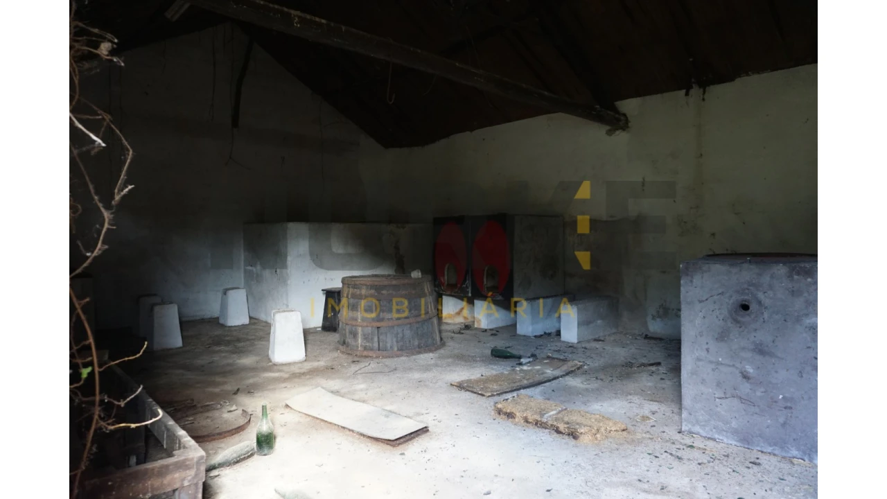 Terreno Agricola ou Rústico para Venda em Assafarge e Antanhol Foto 25