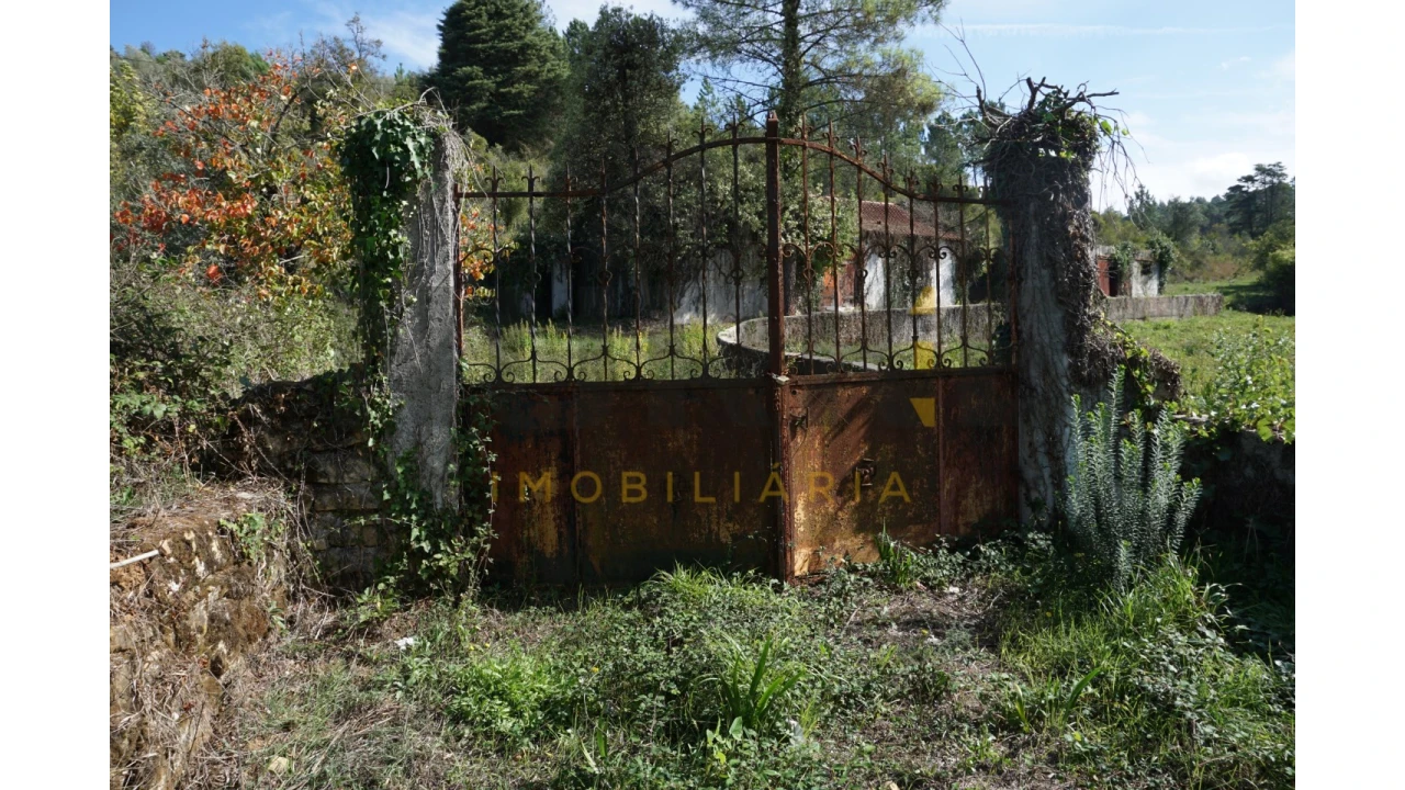 Terreno Agricola ou Rústico para Venda em Assafarge e Antanhol Foto 33