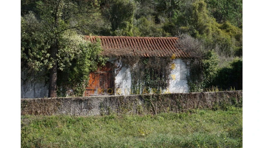 Terreno Agricola ou Rústico para Venda em Assafarge e Antanhol Foto 2