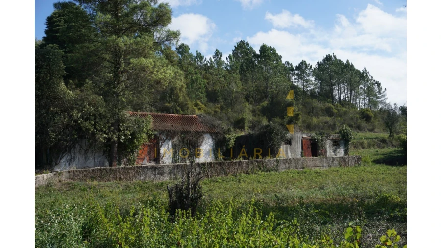 Terreno Agricola ou Rústico para Venda em Assafarge e Antanhol Foto 3