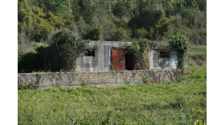 Terreno Agricola ou Rústico para Venda em Assafarge e Antanhol Foto 5