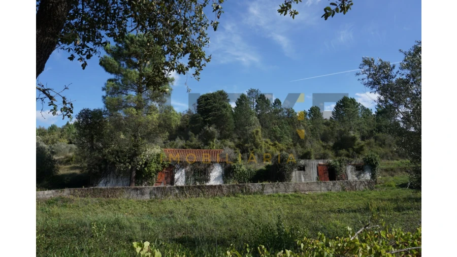 Terreno Agricola ou Rústico para Venda em Assafarge e Antanhol Foto 6