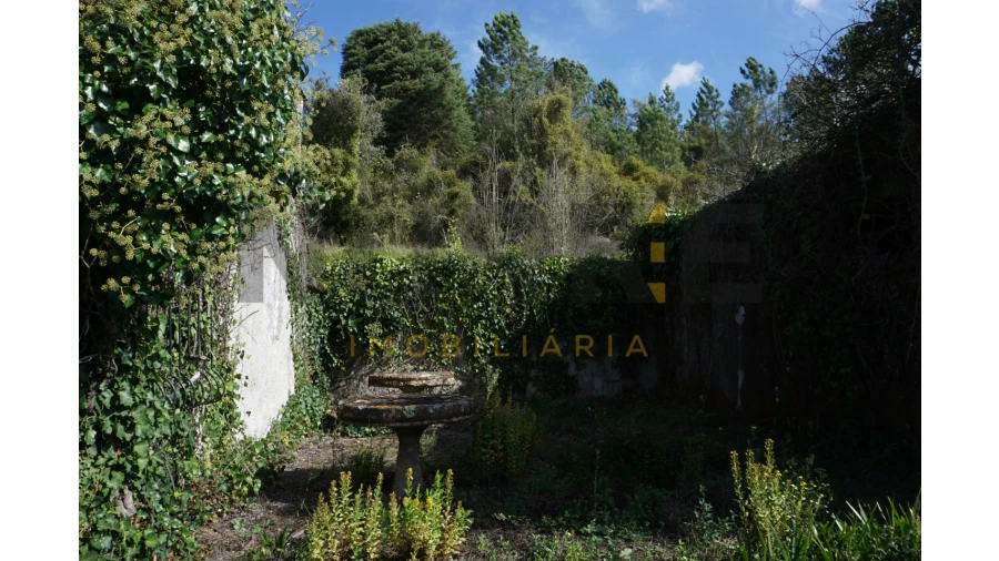 Terreno Agricola ou Rústico para Venda em Assafarge e Antanhol Foto 9
