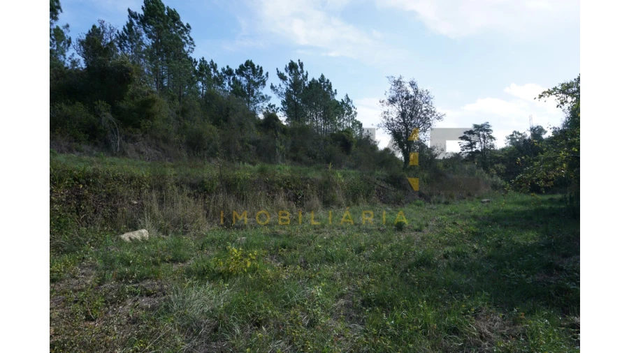 Terreno Agricola ou Rústico para Venda em Assafarge e Antanhol Foto 15