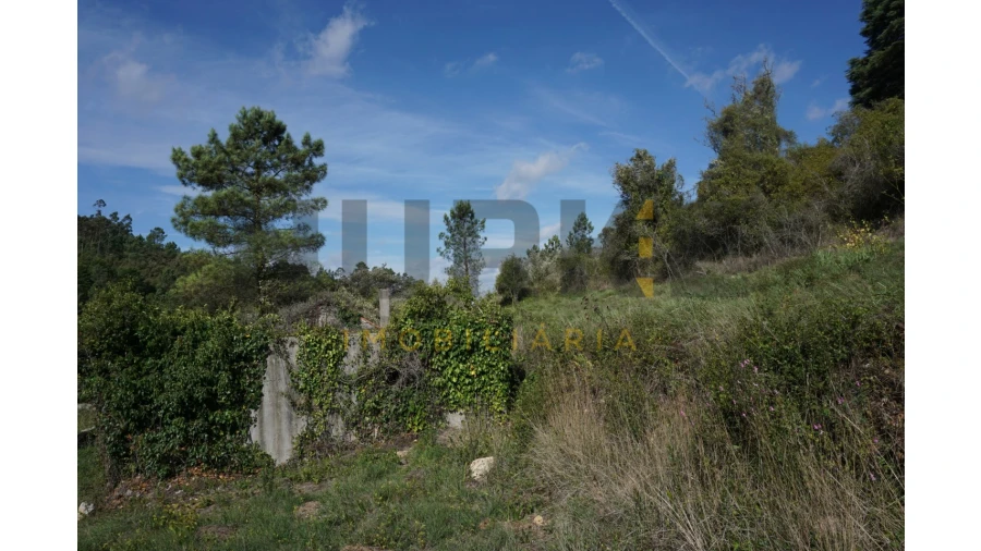 Terreno Agricola ou Rústico para Venda em Assafarge e Antanhol Foto 17