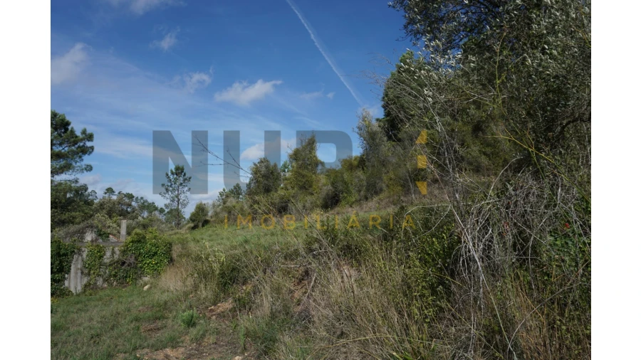 Terreno Agricola ou Rústico para Venda em Assafarge e Antanhol Foto 19