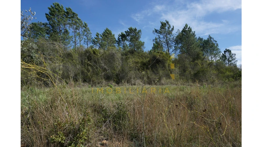 Terreno Agricola ou Rústico para Venda em Assafarge e Antanhol Foto 21