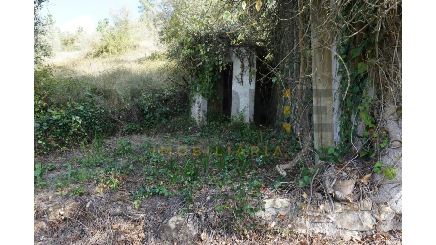 Terreno Agricola ou Rústico para Venda em Assafarge e Antanhol Foto 32