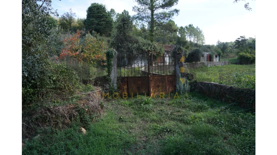 Terreno Agricola ou Rústico para Venda em Assafarge e Antanhol Foto 34