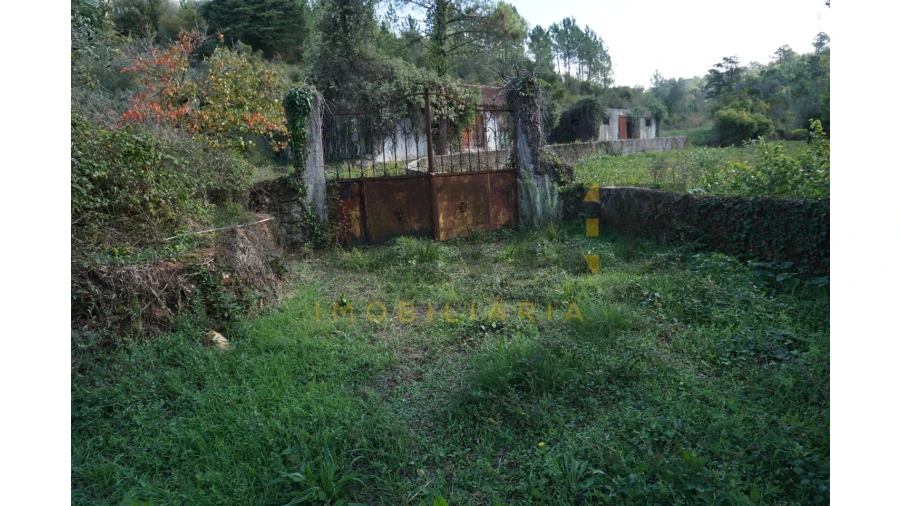 Terreno Agricola ou Rústico para Venda em Assafarge e Antanhol Foto 35