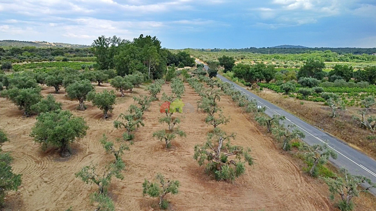Terreno para Venda em Vila Alva Foto 22