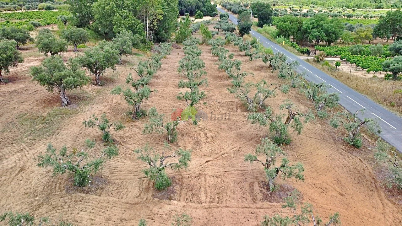 Terreno para Venda em Vila Alva Foto 28