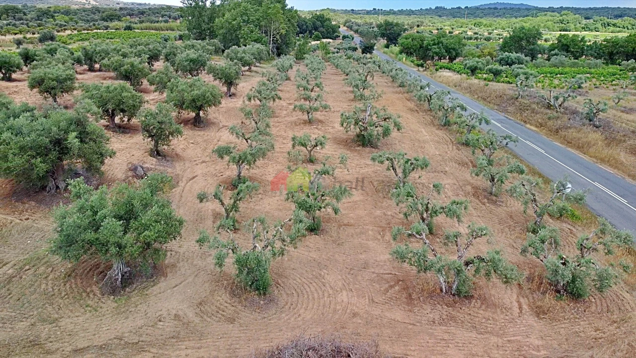 Terreno para Venda em Vila Alva Foto 30
