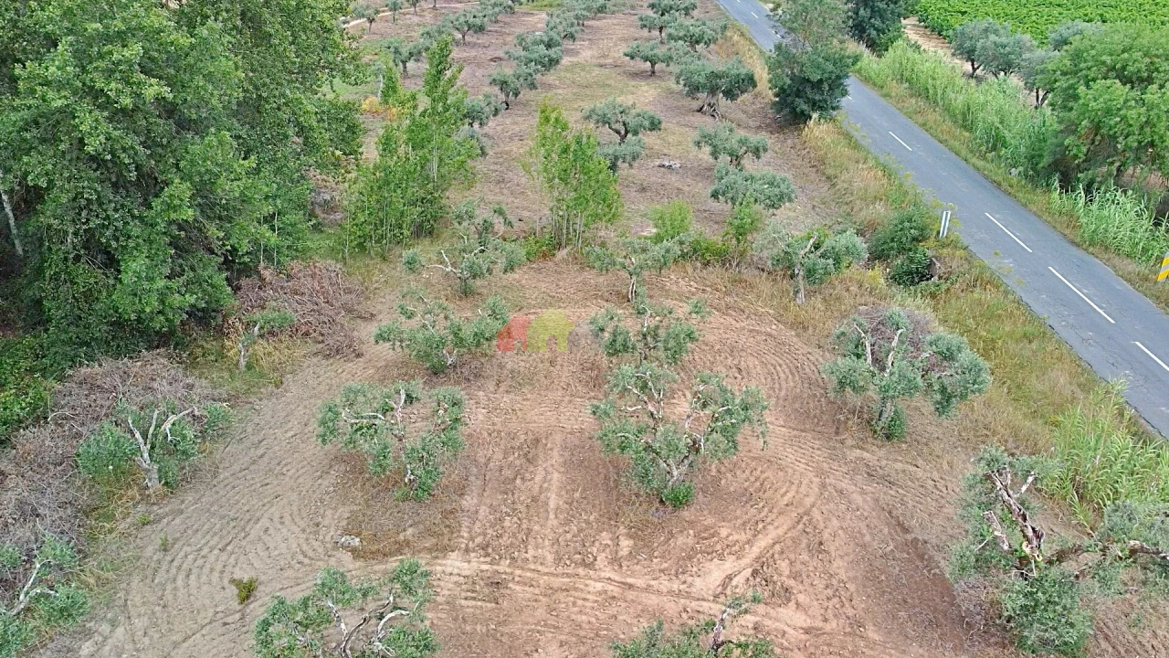 Terreno para Venda em Vila Alva Foto 26