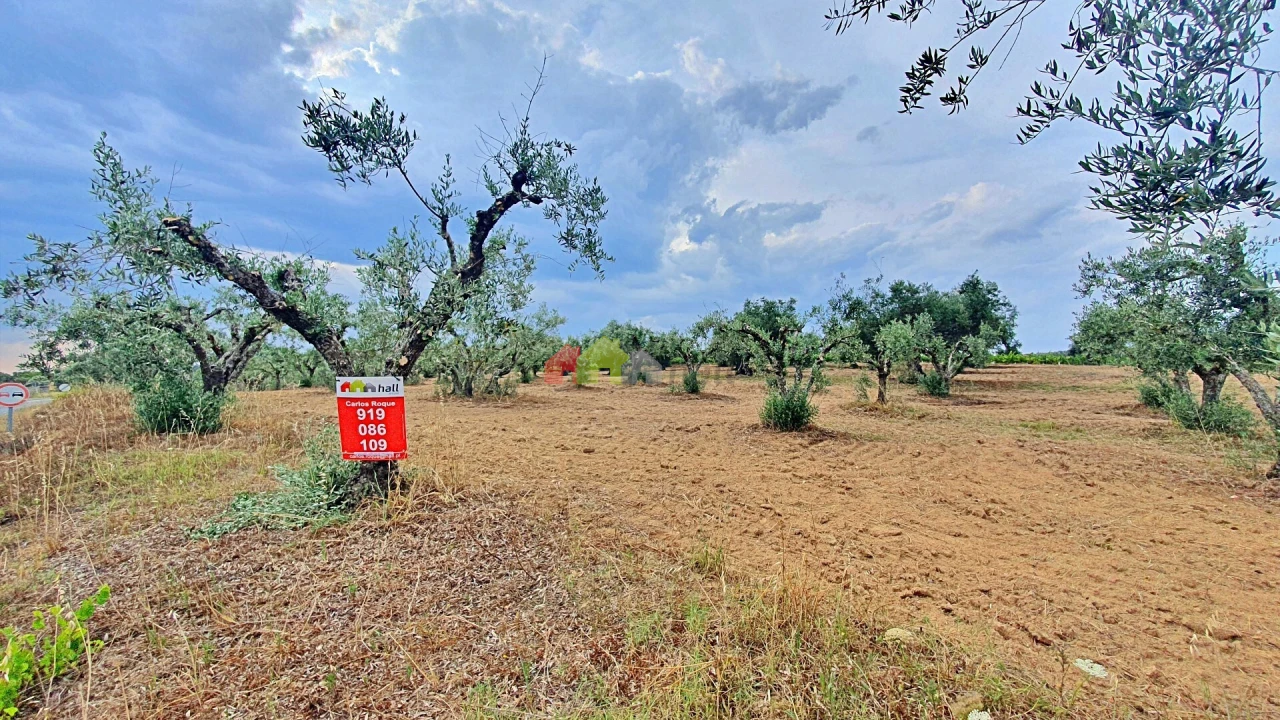 Terreno para Venda em Vila Alva Foto 5