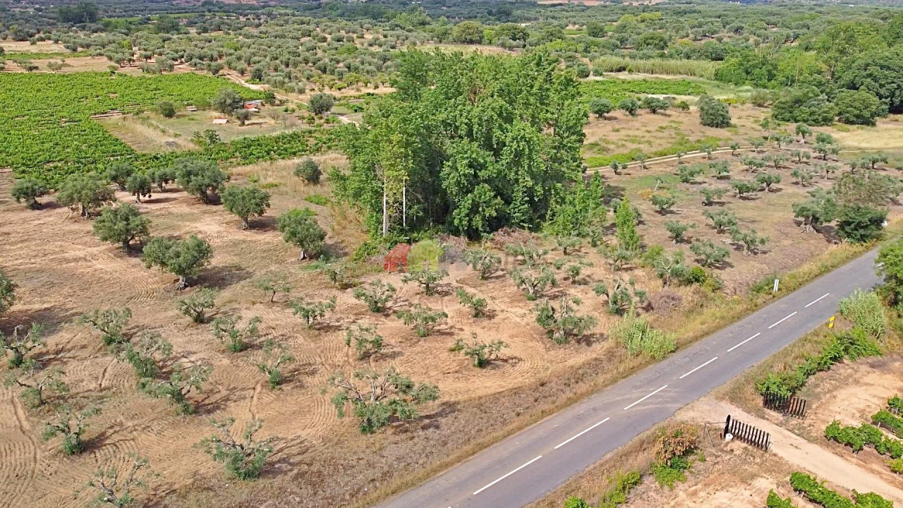 Terreno para Venda em Vila Alva Foto 17