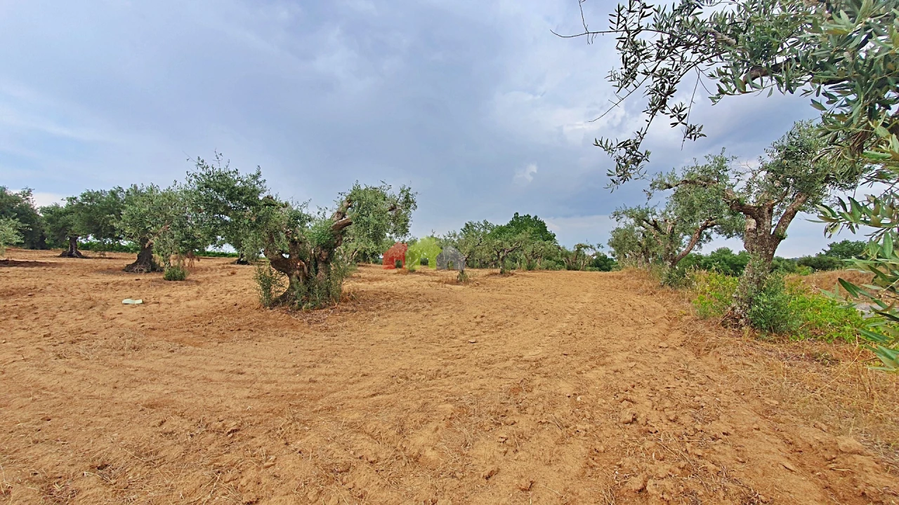Terreno para Venda em Vila Alva Foto 6