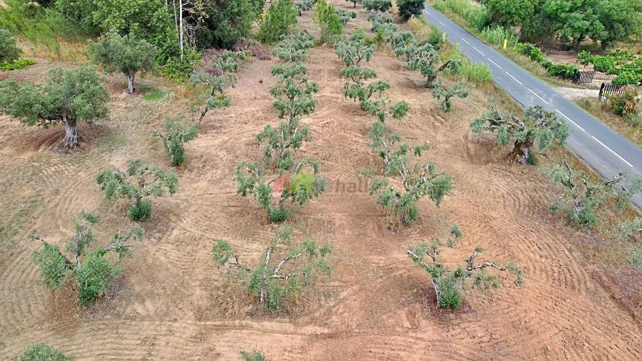 Terreno para Venda em Vila Alva Foto 27