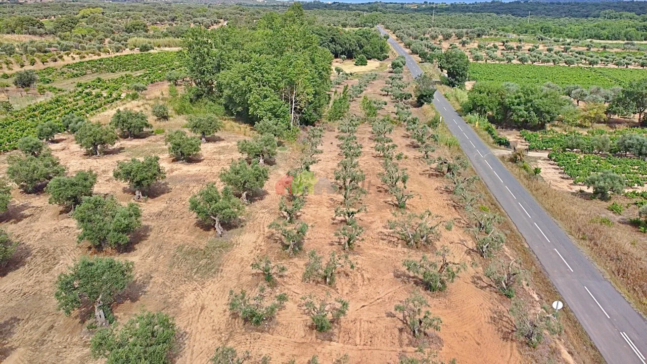 Terreno para Venda em Vila Alva Foto 18