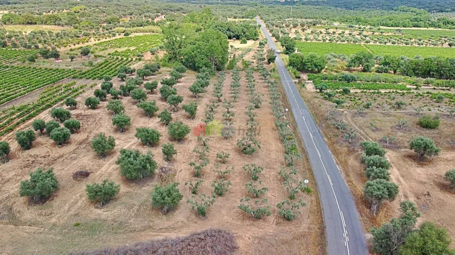 Terreno para Venda em Vila Alva Foto 19