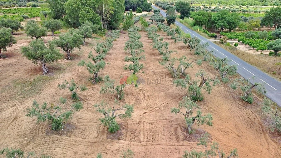 Terreno para Venda em Vila Alva Foto 28