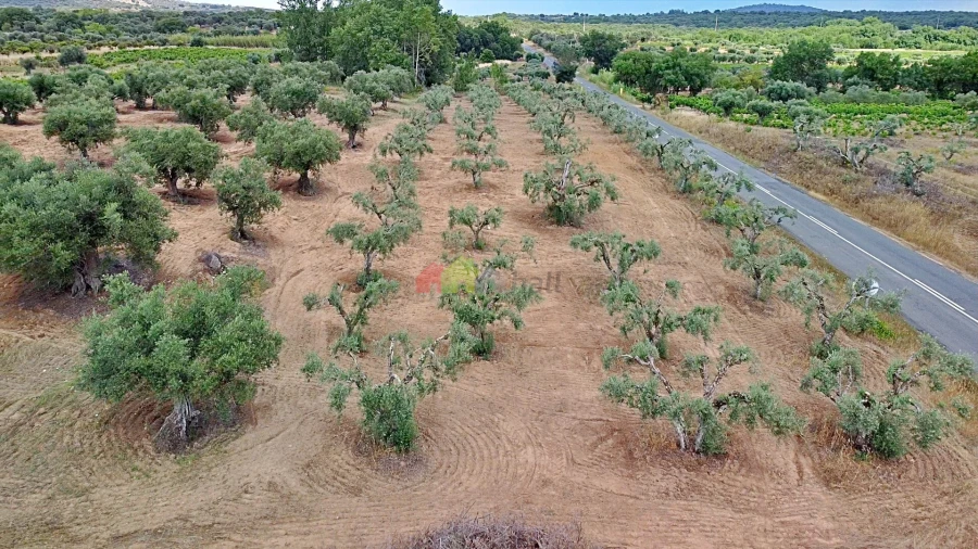Terreno para Venda em Vila Alva Foto 30