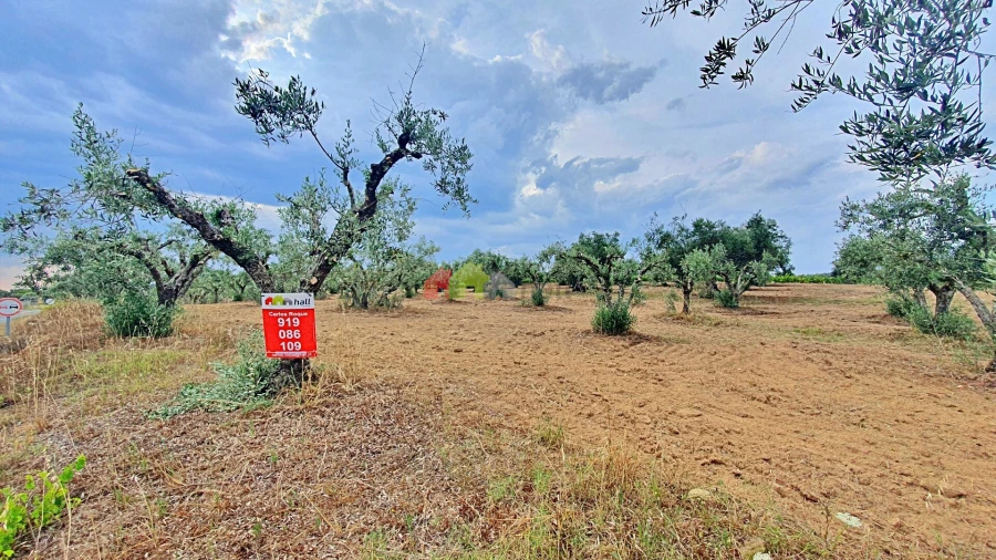 Terreno para Venda em Vila Alva Foto 5