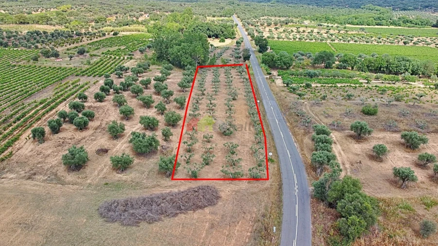 Terreno para Venda em Vila Alva Foto 21