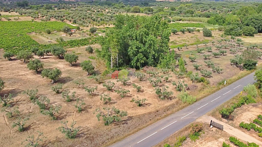 Terreno para Venda em Vila Alva Foto 17