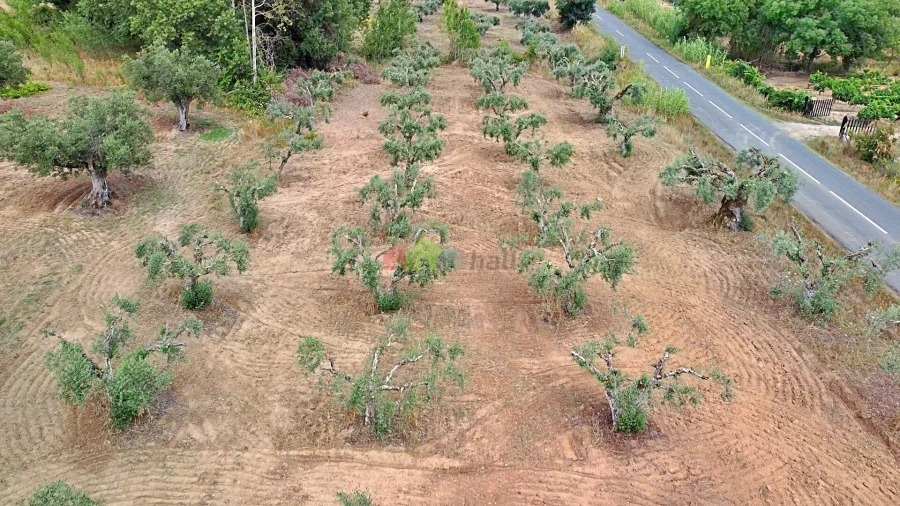 Terreno para Venda em Vila Alva Foto 27