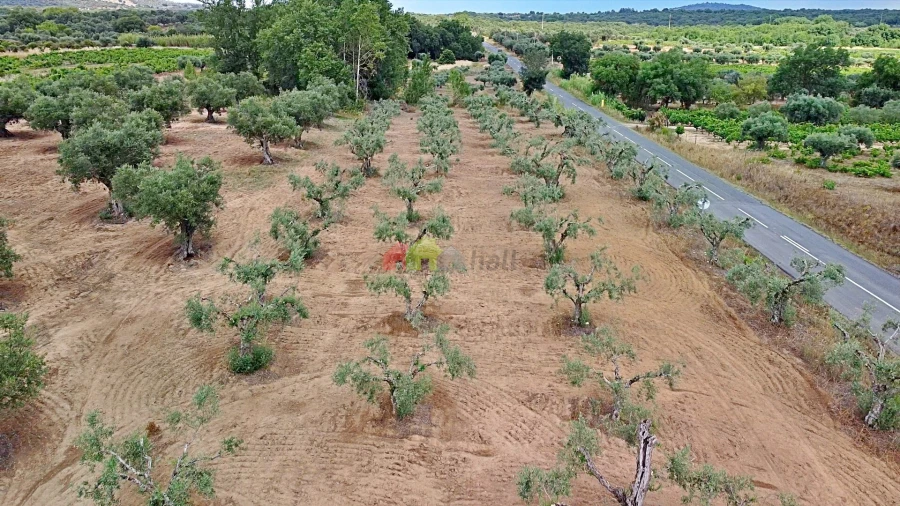 Terreno para Venda em Vila Alva Foto 29