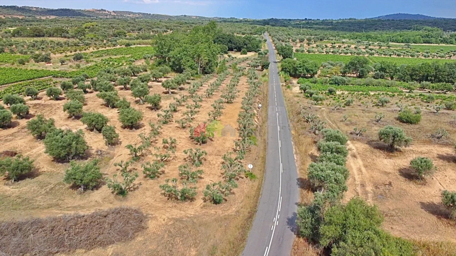Terreno para Venda em Vila Alva Foto 15