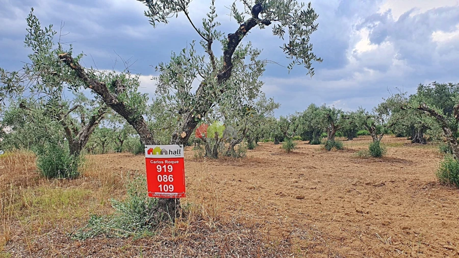 Terreno para Venda em Vila Alva Foto 11