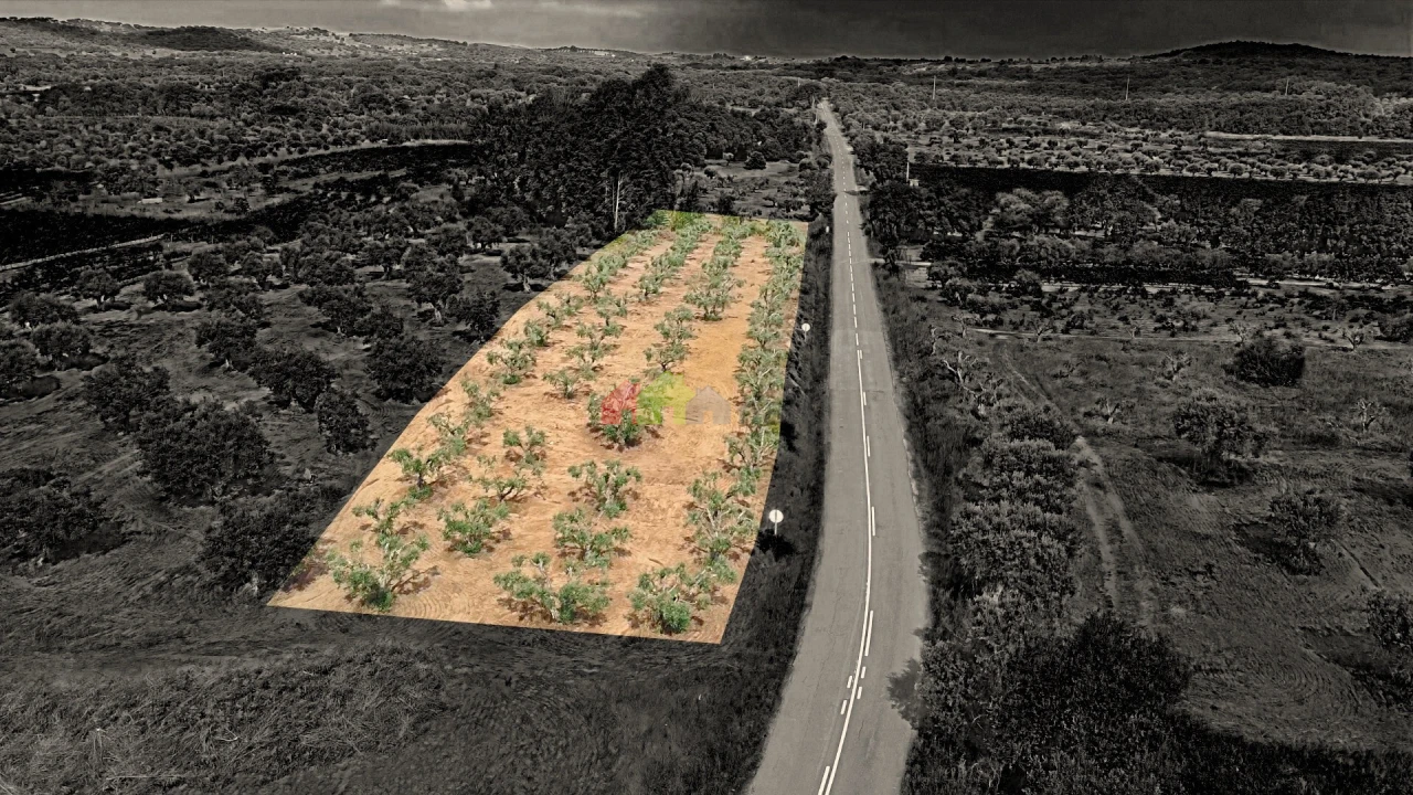 Terreno para Venda em Vila Alva Foto 16