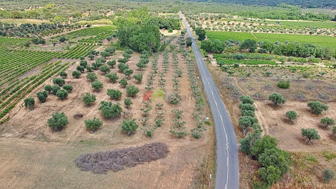 Terreno para Venda em Vila Alva Foto 20
