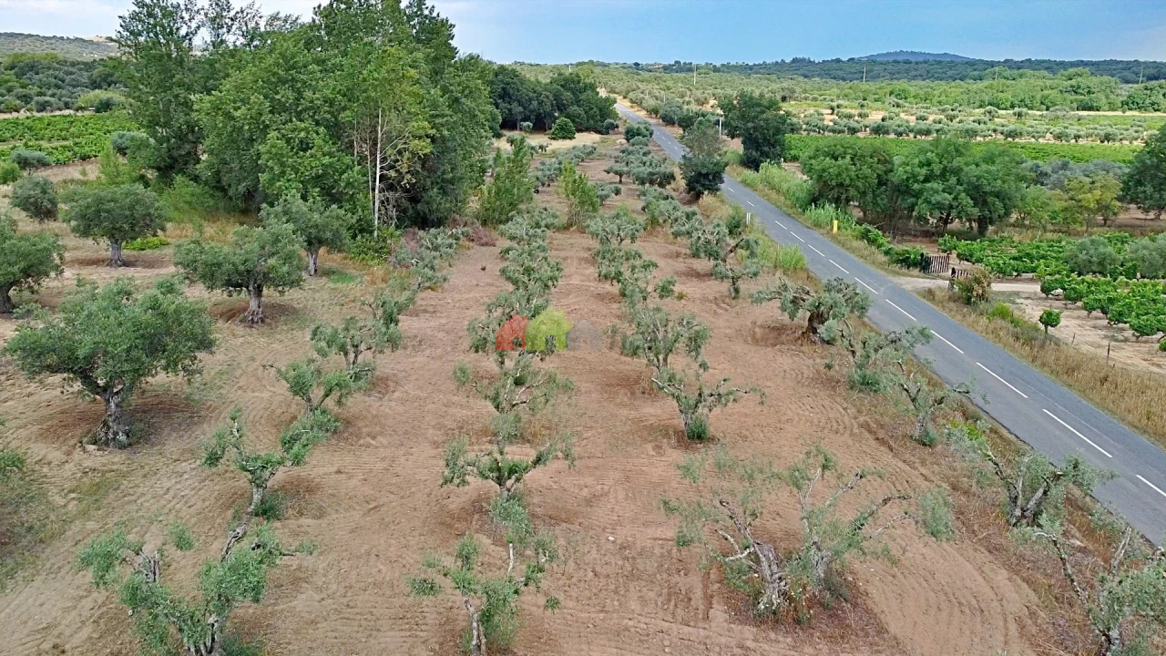 Terreno para Venda em Vila Alva Foto 23
