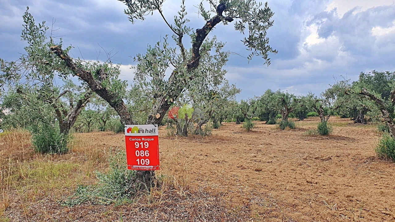 Terreno para Venda em Vila Alva Foto 11
