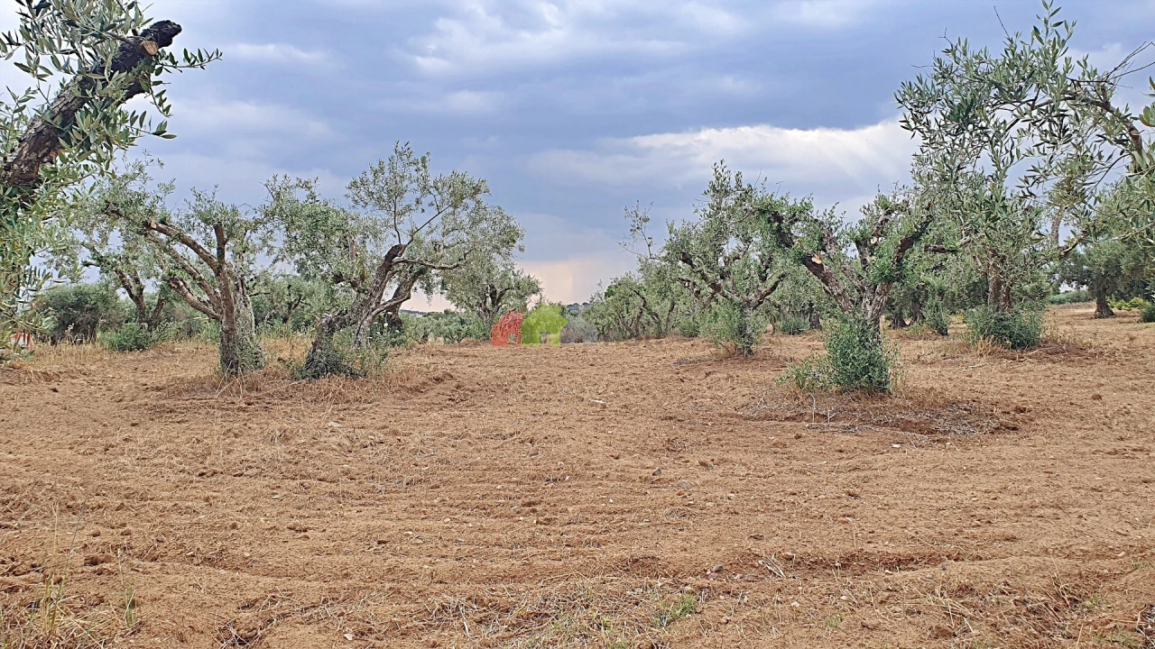 Terreno para Venda em Vila Alva Foto 13