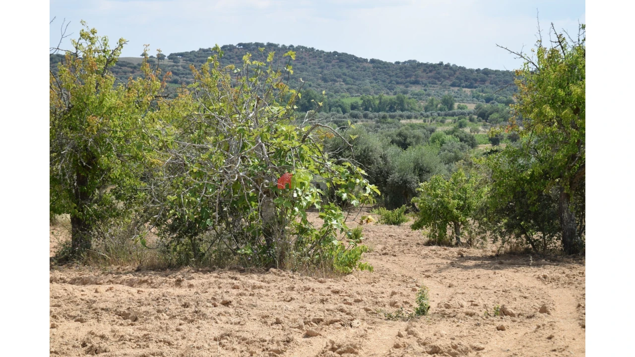 Terreno para Venda em Vila Alva Foto 11
