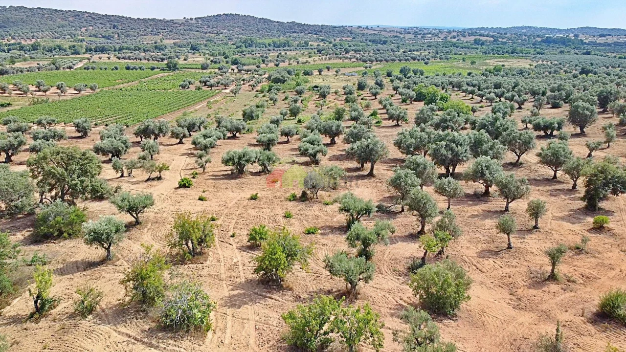 Terreno para Venda em Vila Alva Foto 22